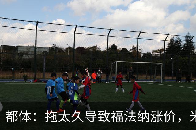 都体：拖太久导致福法纳涨价，米兰考虑拉比奥特